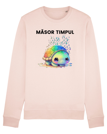 Broasca testoasa pictata in acuarela cu mesajul  Masor Timpul Candy Pink