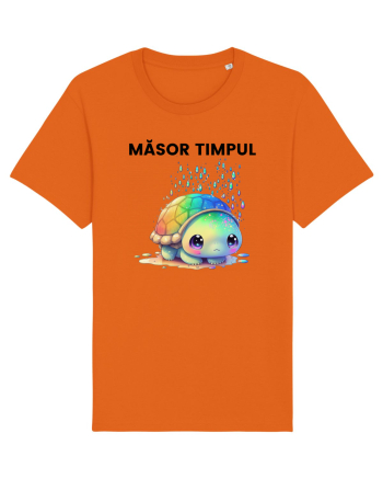 Broasca testoasa pictata in acuarela cu mesajul  Masor Timpul Bright Orange