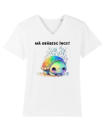 Broasca testoasa pictata in acuarela cu mesajul Ma grabesc Incet Tricou mânecă scurtă guler V Bărbat Presenter