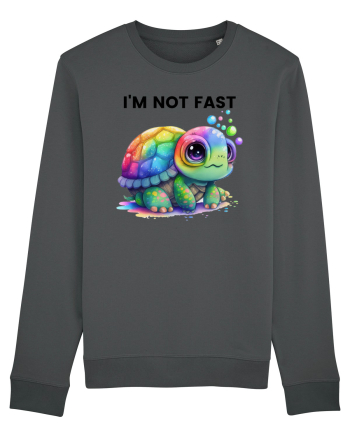 Broasca testoasa pictata in acuarela cu mesajul I'm not fast Anthracite