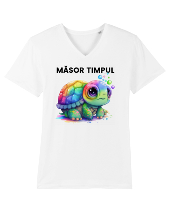Broasca testoasa pictata in acuarela cu mesajul  Masor Timpul White