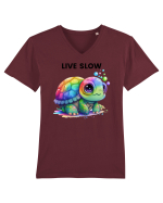 Broasca testoasa pictata in acuarela cu mesajul Live Slow Tricou mânecă scurtă guler V Bărbat Presenter