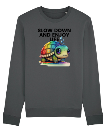 Broasca testoasa pictata in acuarela cu mesajul  Slow Down and Enjoy Life Anthracite