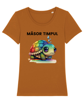 Broasca testoasa pictata in acuarela cu mesajul  Masor Timpul Roasted Orange