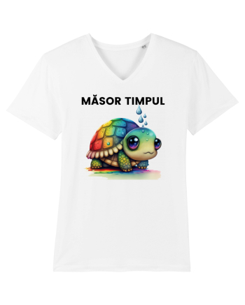 Broasca testoasa pictata in acuarela cu mesajul  Masor Timpul White