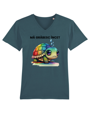 Broasca testoasa pictata in acuarela cu mesajul Ma grabesc Incet Stargazer