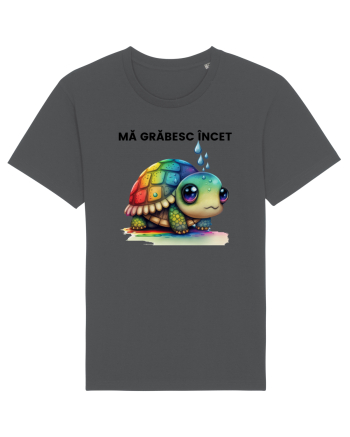 Broasca testoasa pictata in acuarela cu mesajul Ma grabesc Incet Anthracite