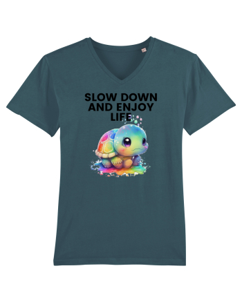 Broasca testoasa pictata in acuarela cu mesajul  Slow Down and Enjoy Life Stargazer