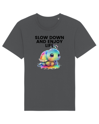 Broasca testoasa pictata in acuarela cu mesajul  Slow Down and Enjoy Life Anthracite