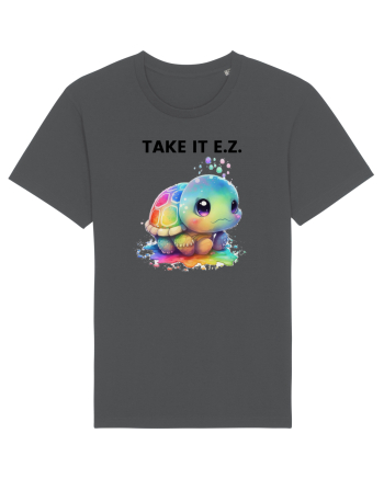 Broasca testoasa pictata in acuarela cu mesajul  Take it E.Z. Anthracite