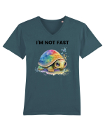 Broasca testoasa pictata in acuarela cu mesajul I'm not fast Tricou mânecă scurtă guler V Bărbat Presenter