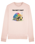 Broasca testoasa pictata in acuarela cu mesajul I'm not fast Bluză mânecă lungă Unisex Rise