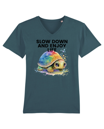 Broasca testoasa pictata in acuarela cu mesajul  Slow Down and Enjoy Life Stargazer