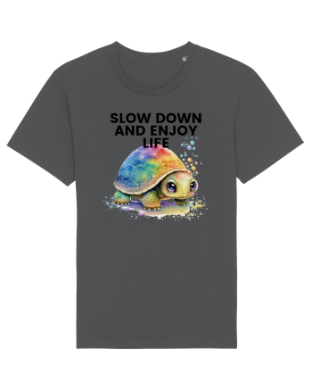 Broasca testoasa pictata in acuarela cu mesajul  Slow Down and Enjoy Life Anthracite