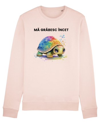 Broasca testoasa pictata in acuarela cu mesajul Ma grabesc Incet Candy Pink
