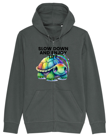 Broasca testoasa pictata in acuarela cu mesajul  Slow Down and Enjoy Life Anthracite