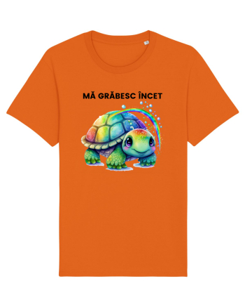 Broasca testoasa pictata in acuarela cu mesajul Ma grabesc Incet Bright Orange