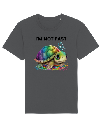 Broasca testoasa pictata in acuarela cu mesajul I'm not fast Anthracite