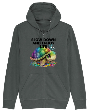 Broasca testoasa pictata in acuarela cu mesajul  Slow Down and Enjoy Life Anthracite