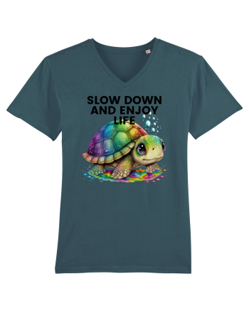 Broasca testoasa pictata in acuarela cu mesajul  Slow Down and Enjoy Life Stargazer