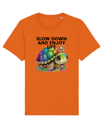 Broasca testoasa pictata in acuarela cu mesajul  Slow Down and Enjoy Life Bright Orange