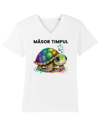 Broasca testoasa pictata in acuarela cu mesajul  Masor Timpul White