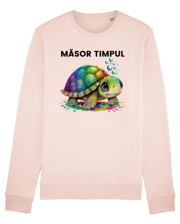 Broasca testoasa pictata in acuarela cu mesajul  Masor Timpul Candy Pink