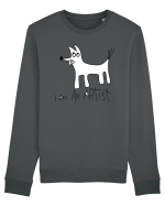 I am an artist Bluză mânecă lungă Unisex Rise