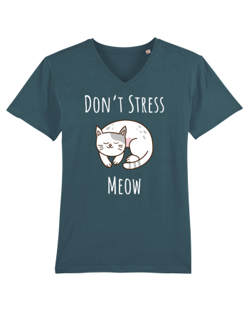 Pisica cu citat, Meow Stargazer