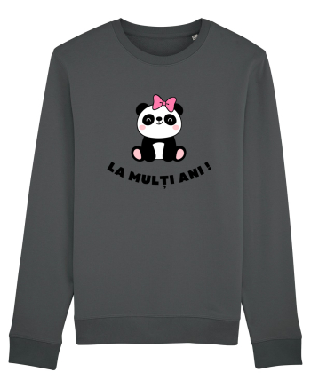 LA MULȚI ANI V1 Anthracite