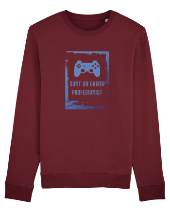 SUNT UN GAMER PROFESIONIST Burgundy
