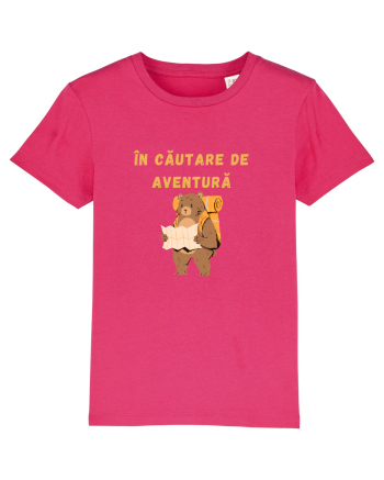 ÎN CĂUTARE DE AVENTURĂ Raspberry