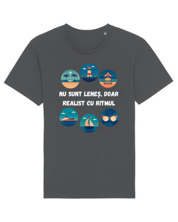 REALIST CU RITMUL Anthracite