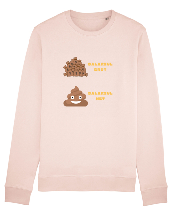 SALARIU BRUT - SALARIU NET Candy Pink