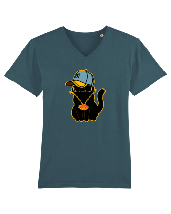 Hip Hop Cat  Stargazer