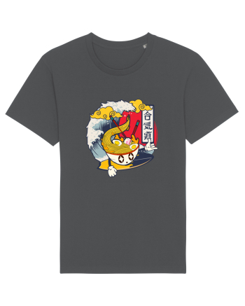 Ramen Surfer Anthracite