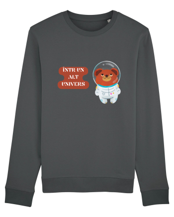 ÎNTR-UN ALT UNIVERS V1 Anthracite
