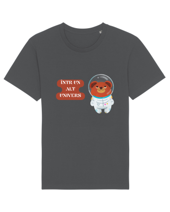 ÎNTR-UN ALT UNIVERS V1 Anthracite