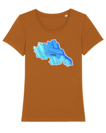 Iași County Map Roasted Orange