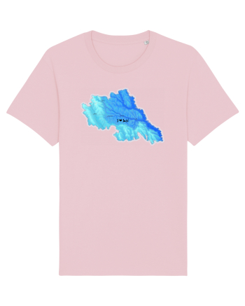 Iași County Map Cotton Pink