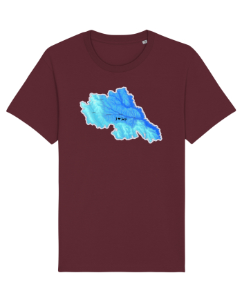 Iași County Map Burgundy
