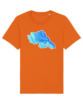 Iași County Map Bright Orange