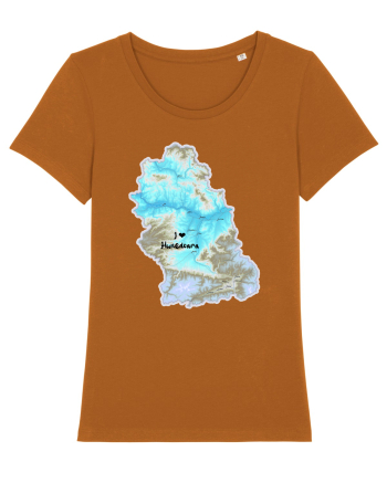 Hunedoara County Map Roasted Orange