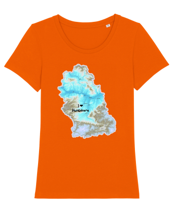 Hunedoara County Map Bright Orange