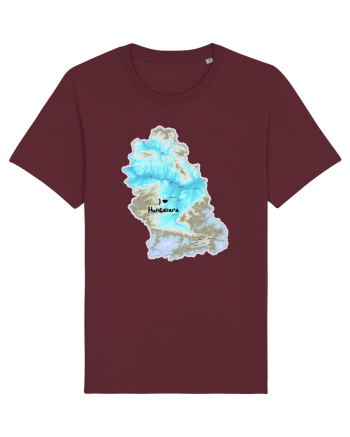 Hunedoara County Map Burgundy