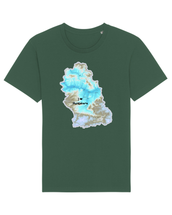 Hunedoara County Map Bottle Green
