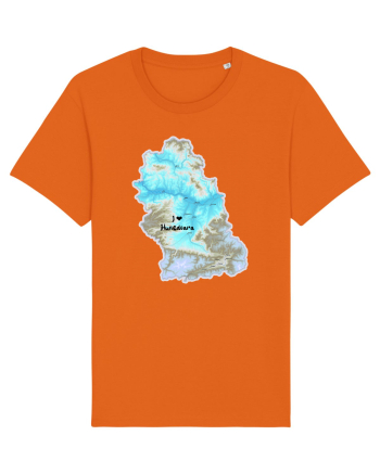 Hunedoara County Map Bright Orange