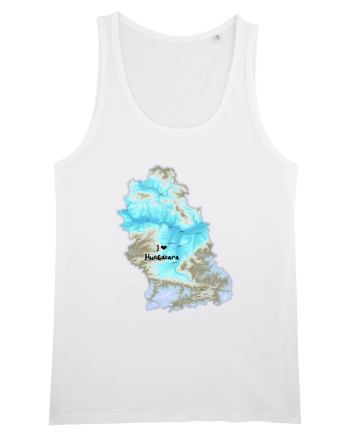 Hunedoara County Map White