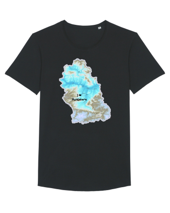 Hunedoara County Map Black