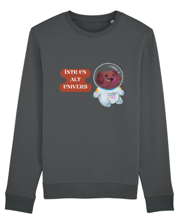 ÎNTR-UN ALT UNIVERS V3 Anthracite